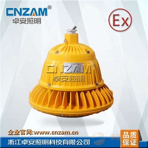 led防爆灯免维护zbd104 100w大功率生产厂家批发