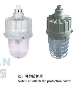 粉尘防爆灯产品解析 功率、外形尺寸与选购指南