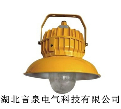 工厂防爆灯GCD5012-L100x 安全照明的先锋选择